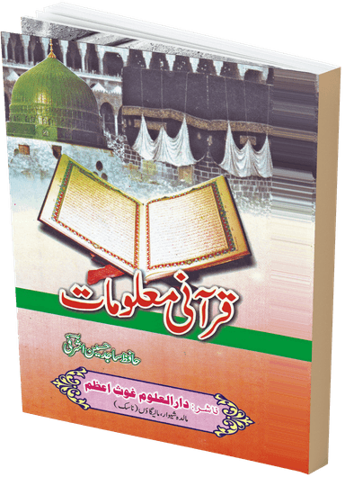 حافظ ساجد حسین اشرفی کی معلومات